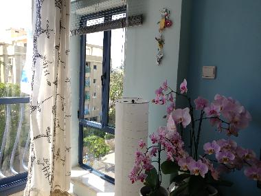 Apartamento de vacaciones en Tel Aviv (Tel Aviv)Casa de vacaciones