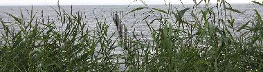 Apartamento de vacaciones en Grambin (Vorpommern)Casa de vacaciones