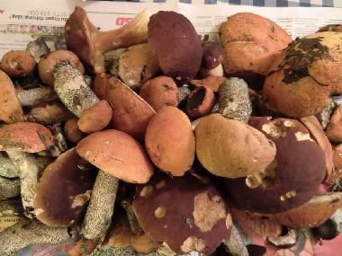 Casa de vacaciones en Lansj�rv �nges� Aspberg (Norrbotten)Casa de vacaciones