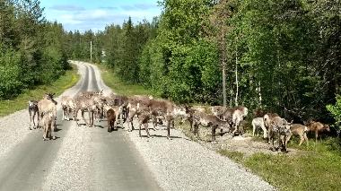 Casa de vacaciones en Lansj�rv �nges� Aspberg (Norrbotten)Casa de vacaciones