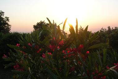 Apartamento de vacaciones en Castellina Marittima (Pisa)Casa de vacaciones