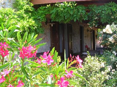 Apartamento de vacaciones en Castellina Marittima (Pisa)Casa de vacaciones