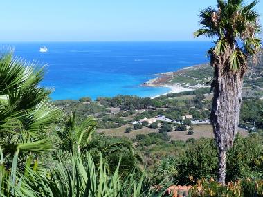 Apartamento de vacaciones en Corbara  (Haute-Corse)Casa de vacaciones