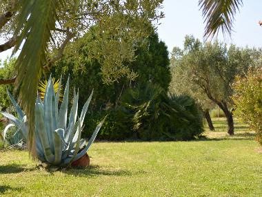 Villa en Psakoudia (Chalkidiki)Casa de vacaciones