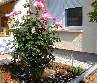 Casa de vacaciones en B�kf�rdő (Vas)Casa de vacaciones