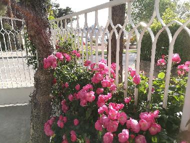 Apartamento de vacaciones en Vodice (Sibensko-Kninska)Casa de vacaciones