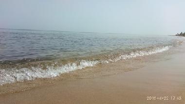 PLAYA ARENA DEL APARTAMENTO