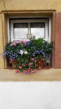 Apartamento de vacaciones en Drrenbach (Pfalz)Casa de vacaciones