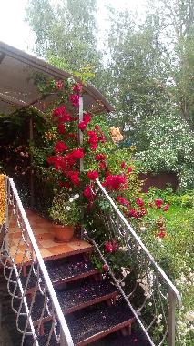 Apartamento de vacaciones en Selenogradsk  (Kaliningradskaya Oblast)Casa de vacaciones