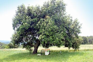 Casa de vacaciones en Pont�s (Girona)Casa de vacaciones