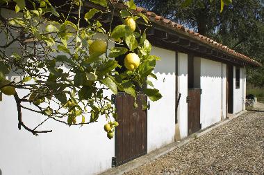 Casa de vacaciones en Bustio - Ribadedeva (Asturias)Casa de vacaciones