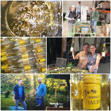 Apartamento de vacaciones en Klosterneuburg, Kritzendorf (Wiener Umland/Nordteil)Casa de vacaciones