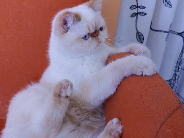 Apartamento de vacaciones en Tel Aviv (Tel Aviv)Casa de vacaciones