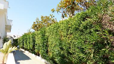 Casa de vacaciones en torre suda (Lecce)Casa de vacaciones