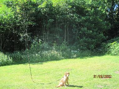 Apartamento de vacaciones en Scharbeutz-Klingberg (Holsteinische Schweiz)Casa de vacaciones
