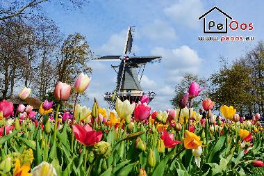 Apartamento de vacaciones en Noordwijk aan Zee (Zuid-Holland)Casa de vacaciones