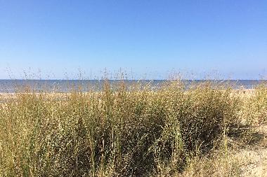 Apartamento de vacaciones en Noordwijk  (Zuid-Holland)Casa de vacaciones
