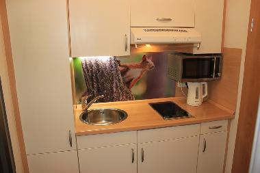 Apartamento de vacaciones en Mittelberg (Bludenz-Bregenzer Wald)Casa de vacaciones