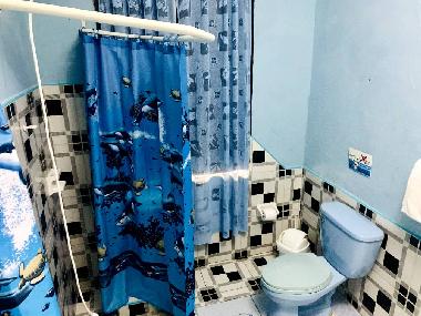 Bao Privado dentro de la Habitacin, ducha agua fra y caliente,toallas,papel sanitario y todas las