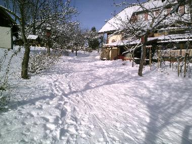 Apartamento de vacaciones en Bernau im Schwarzwald (Schwarzwald)Casa de vacaciones