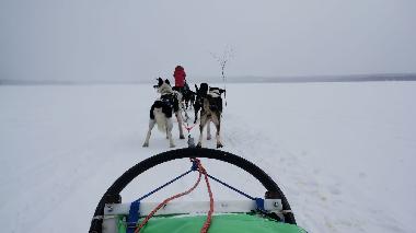 Casa de vacaciones en Abborrtr�sk (Norrbotten)Casa de vacaciones