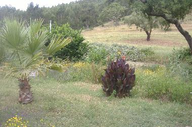 Casa de vacaciones en S�o Luis (Alentejo Litoral)Casa de vacaciones