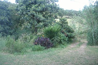 Casa de vacaciones en S�o Luis (Alentejo Litoral)Casa de vacaciones